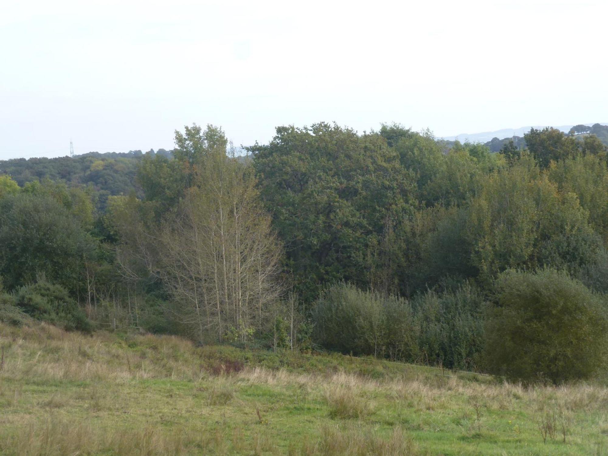 Holiday home Briardene - Devon Countryside - Sleeps 6 Exeter